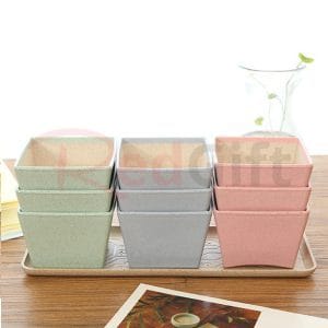 19108_cup_1