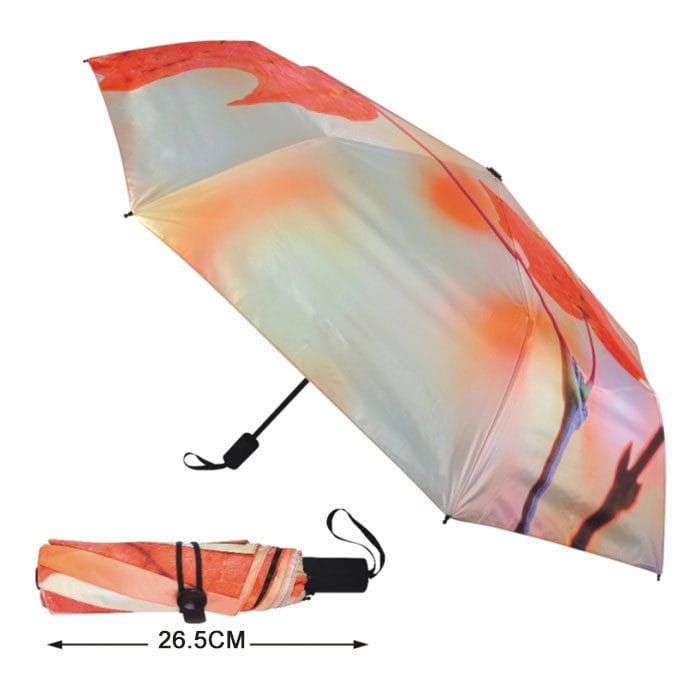 23198_Umbrella_01