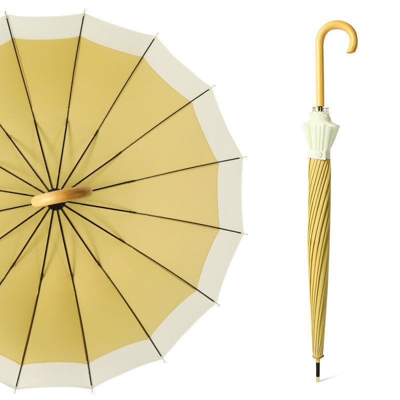 23829_Umbrella_01