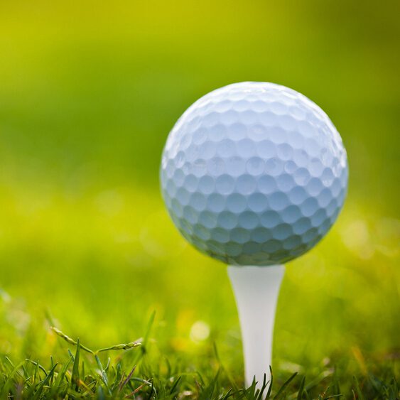 7997_golf_1